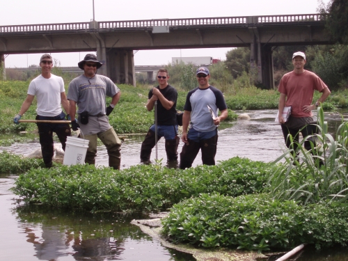 Field crew at a bioassessment monitoring location on the lower Ventura River (Sep. 2006)