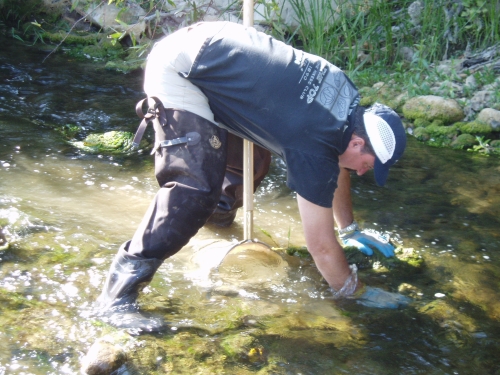 David Thomas scrubbing rocks during bioassessment monitoring along the Ventura River (Sep. 2005)