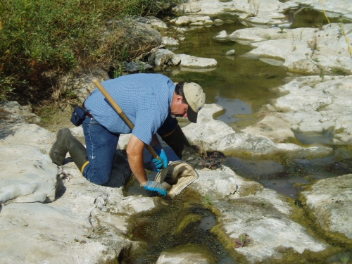 David Thomas removing organisms from rocks during bioassessment monitoring along the Ventura River (Sep. 2006)