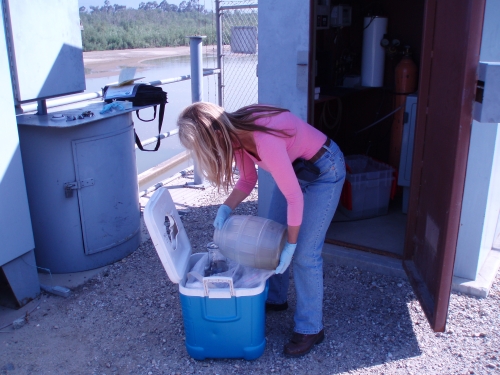 Debi McAlpine compositing aliquots at the Santa Clara River Mass Emission Monitoring Site (May 2005)