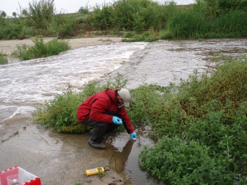 Tommy Liddell taking grab samples at the Calleguas Creek Mass Emission Monitoring Site (Apr. 2007)