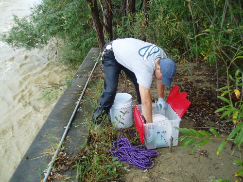 Tommy Liddell taking grab samples at the Santa Clara River Mass Emission Monitoring Site (Nov. 2005)